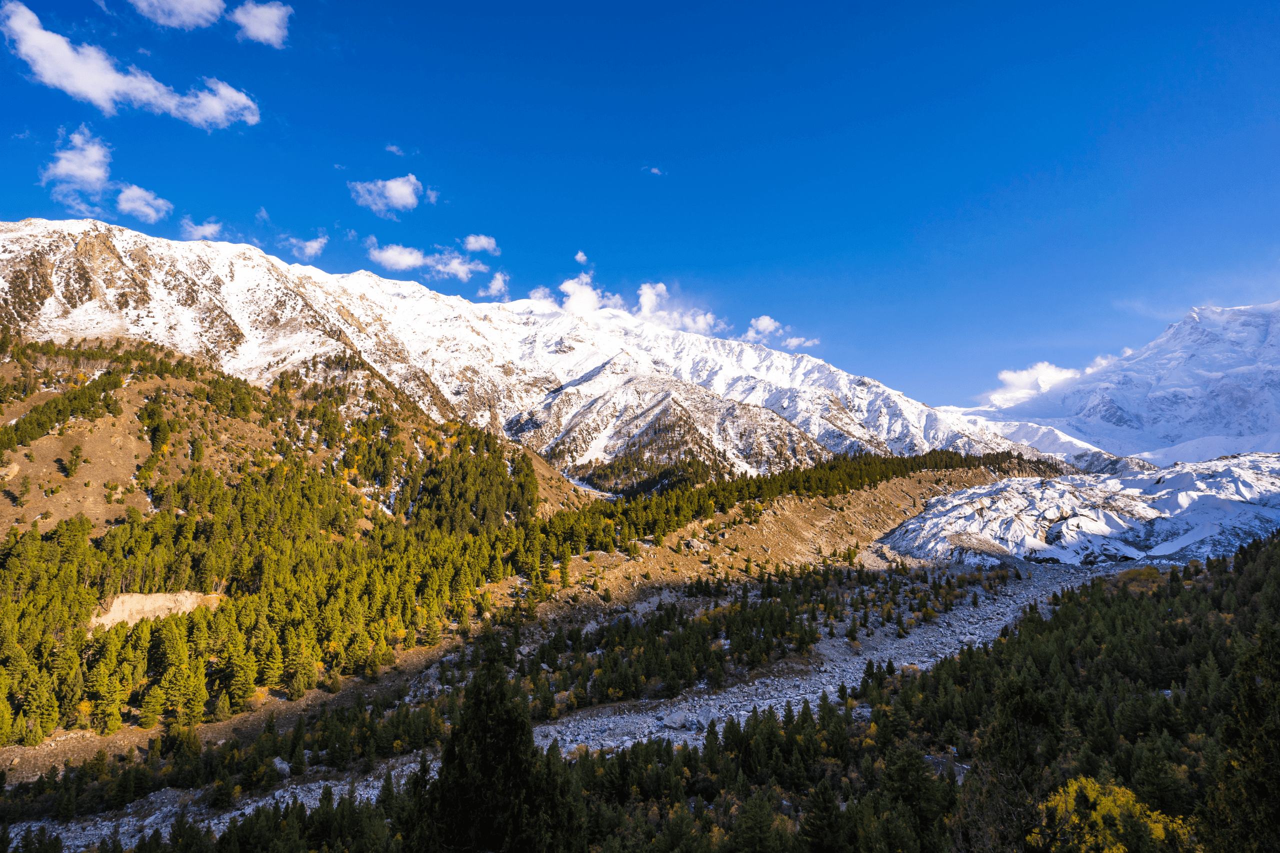 Fairy Meadows