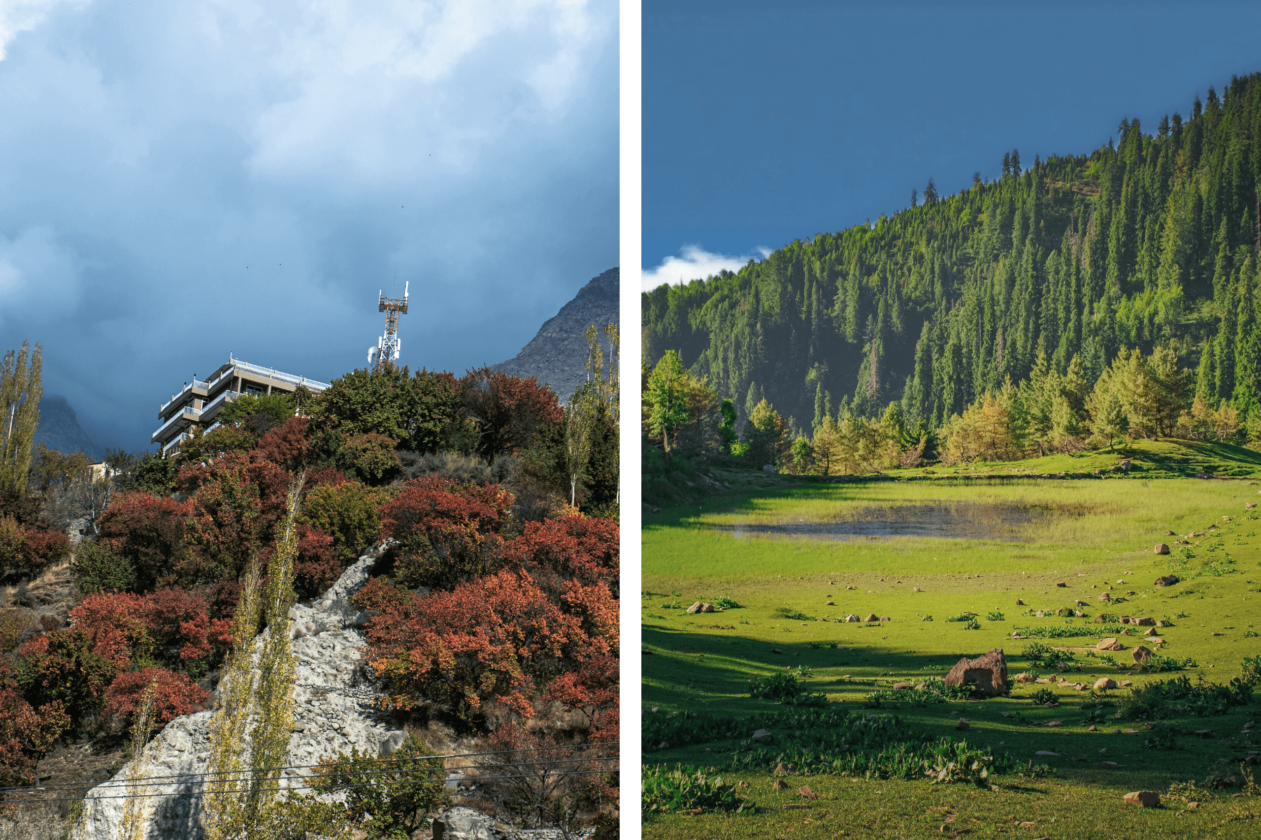 Fairy Meadows
